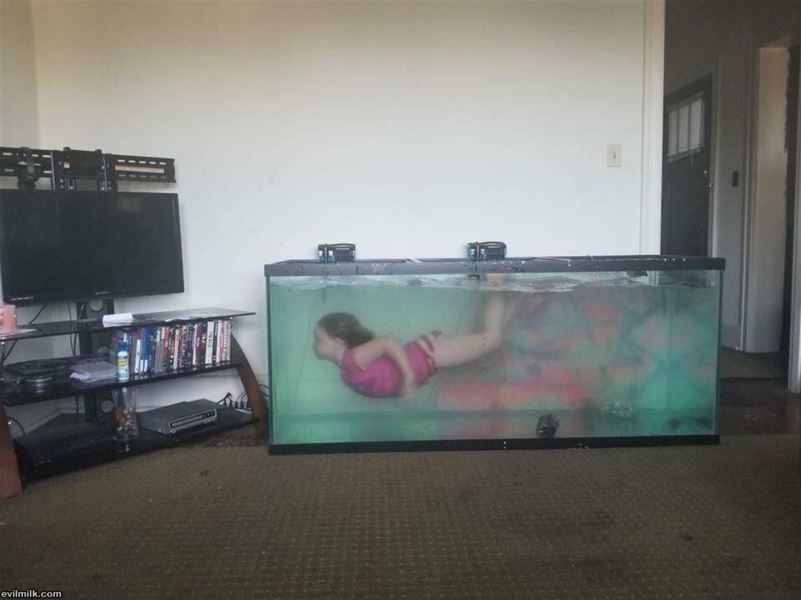 No Pool