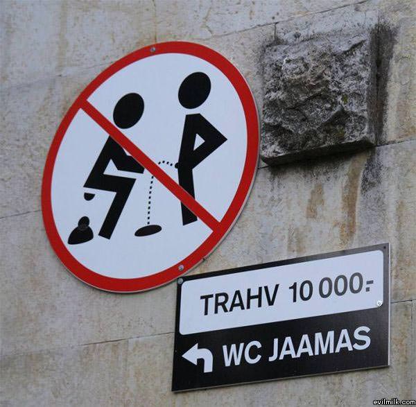 No Shitting No Pissing