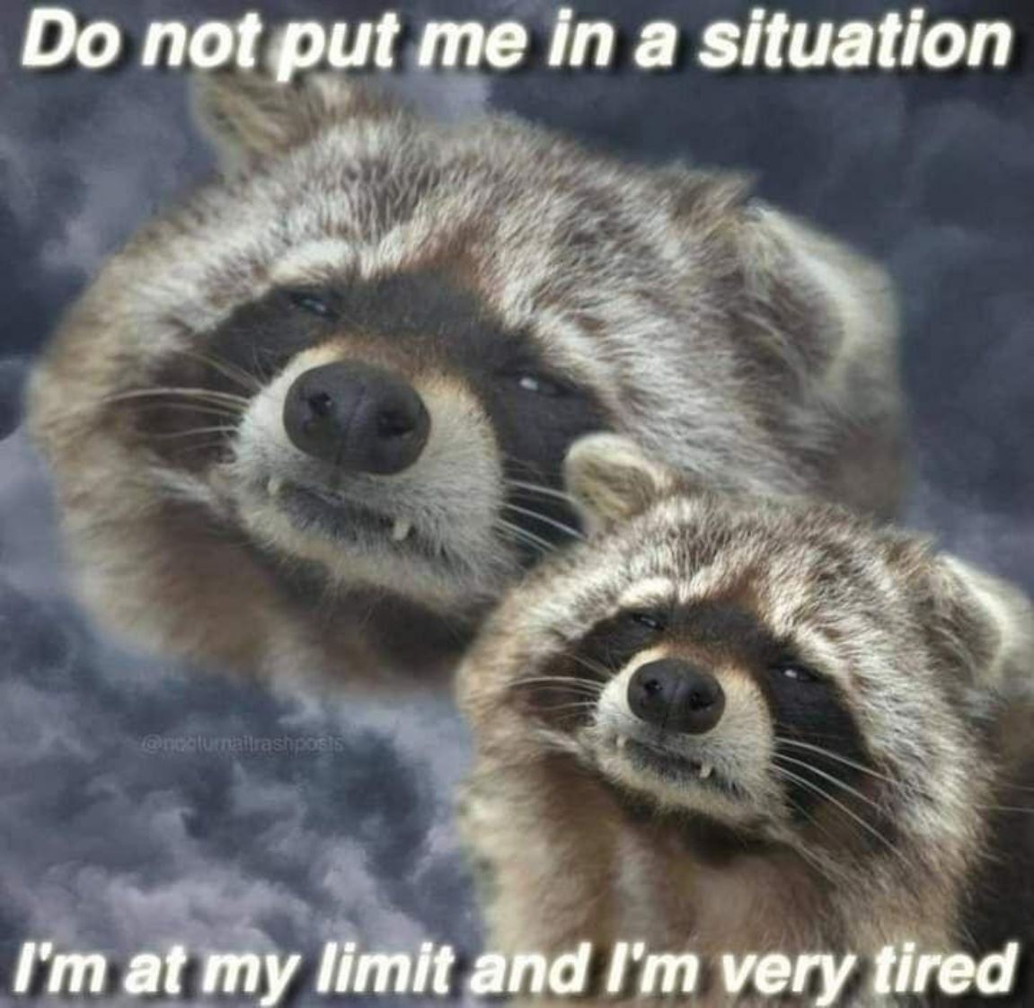 No Situations