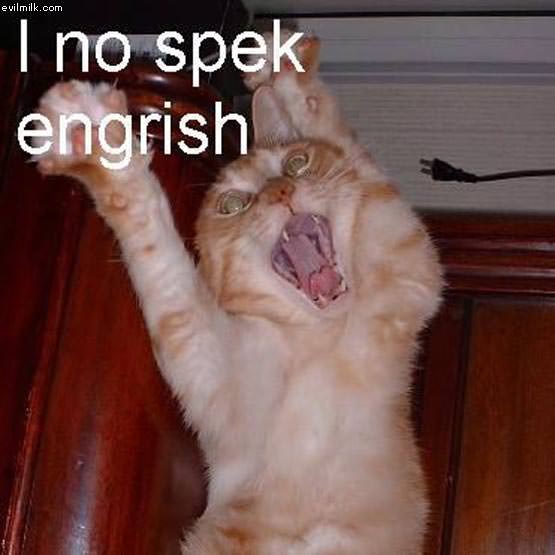 No Speaka Engrish