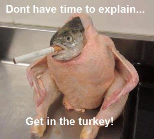 No Time To Explain