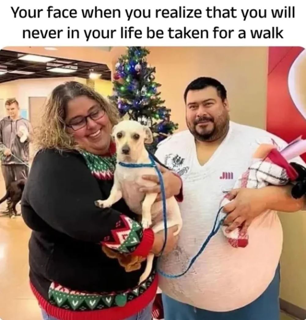 No Walks For You