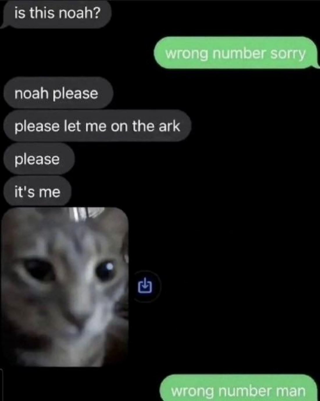 Noah Please