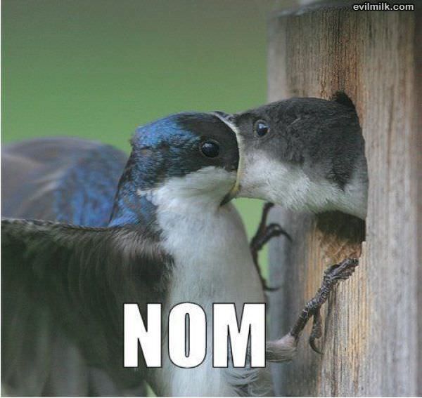 Nom