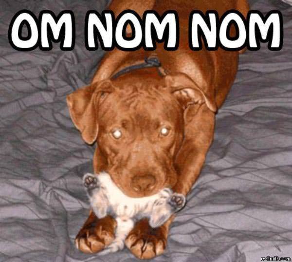 Nom Nom