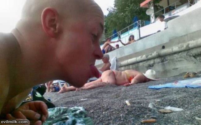 Nommm Nom Nom