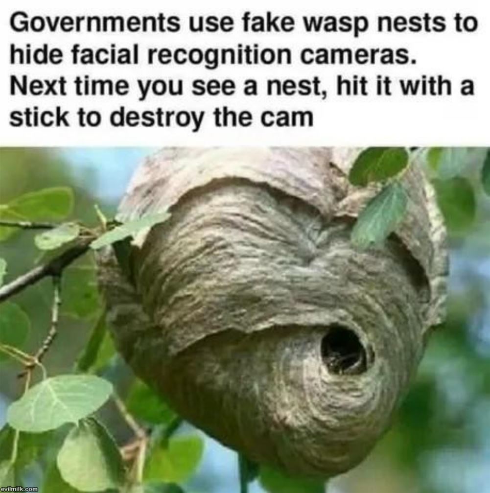 None Of That