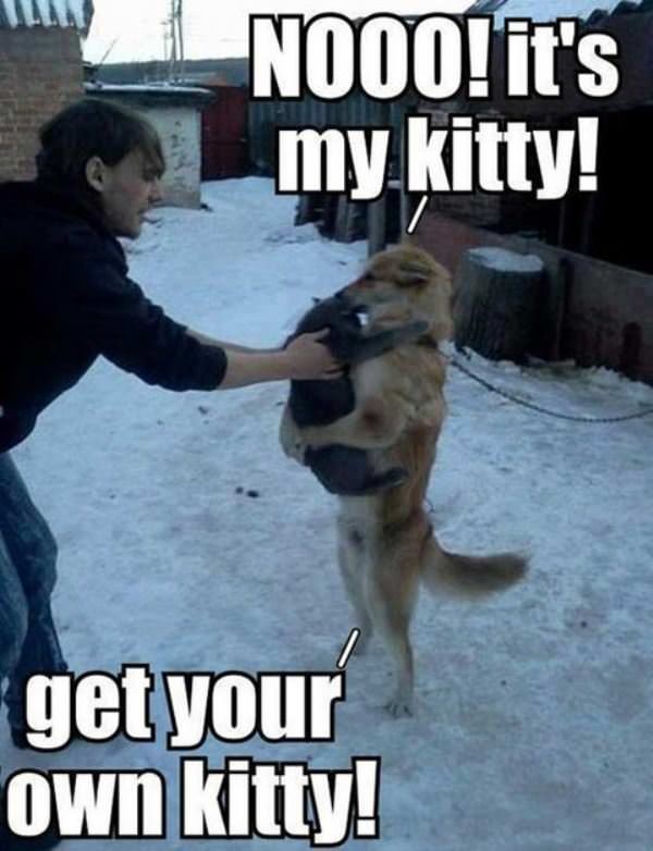 Noooo Its Mine