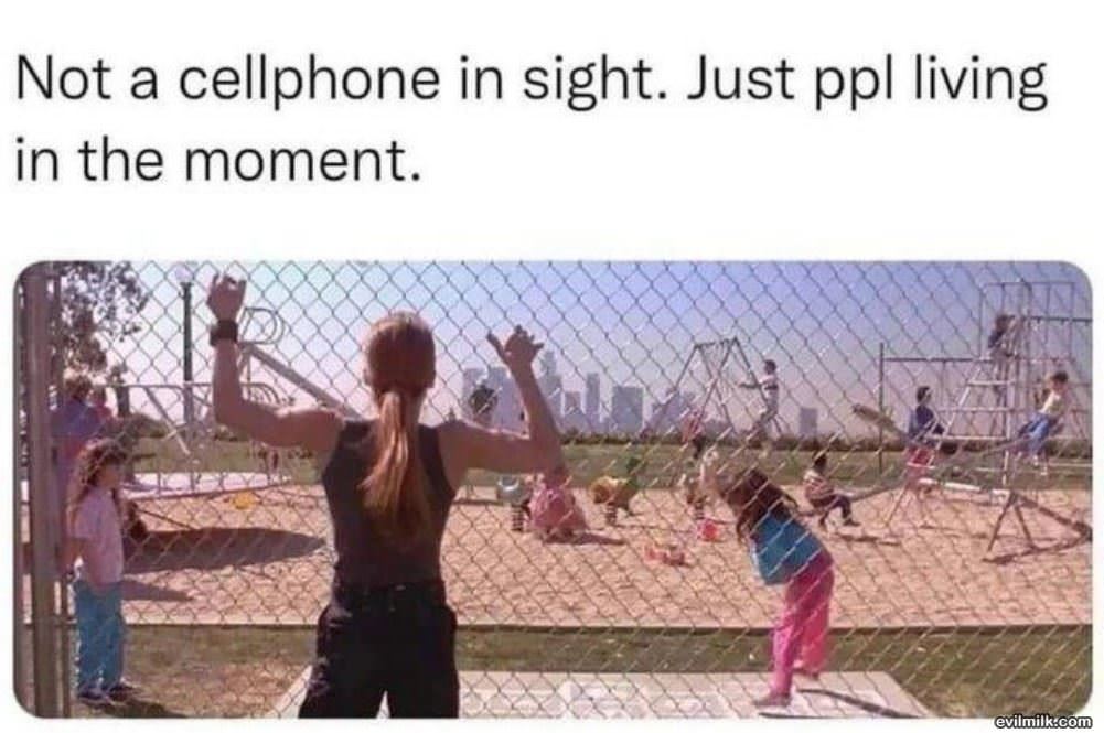 Not A Cell Phone