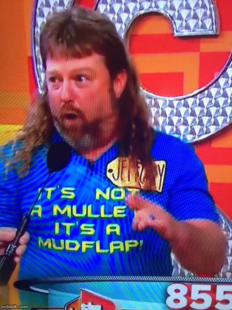 Not A Mullet