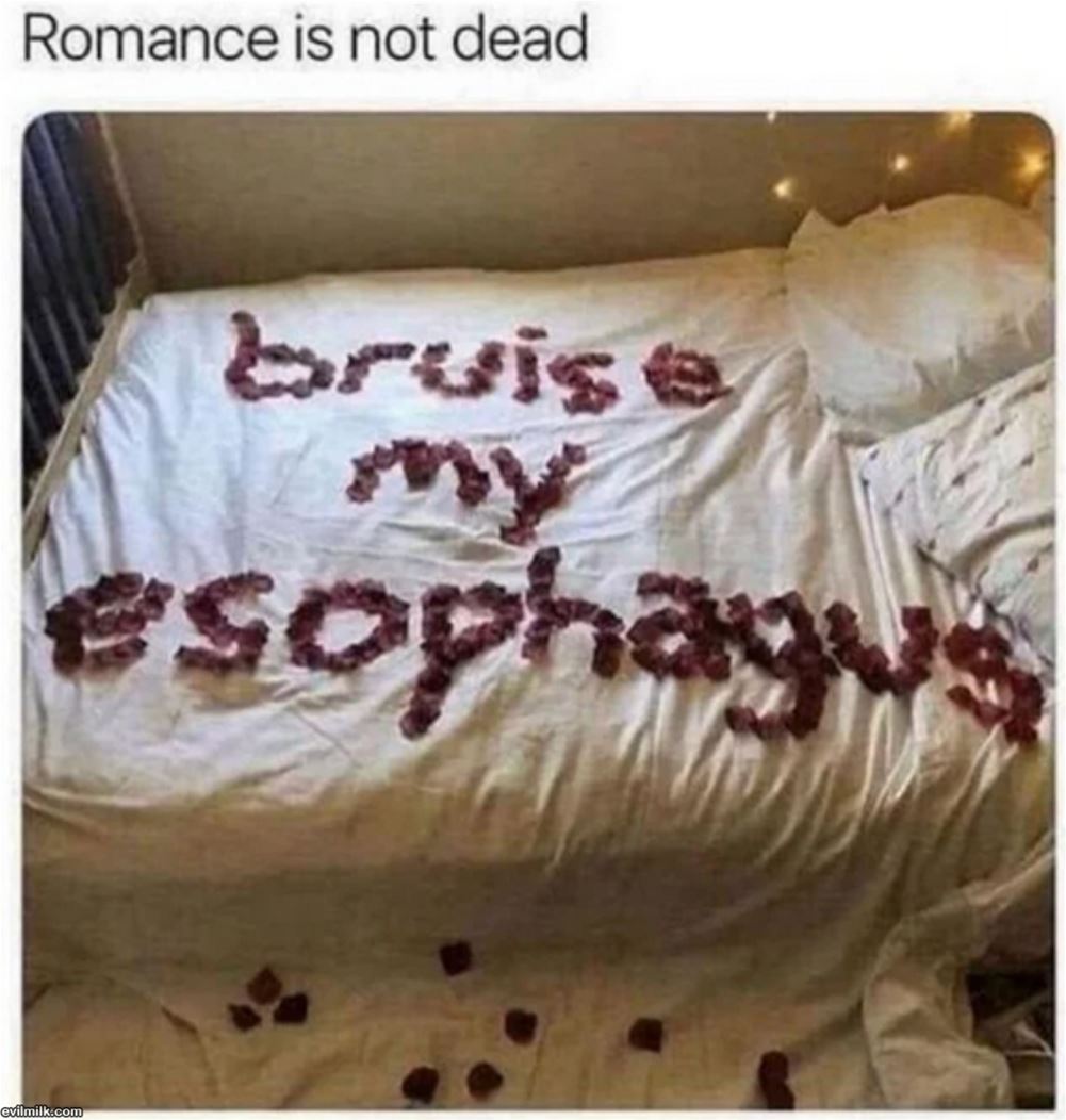 Not Dead