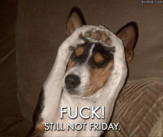 Not Friday