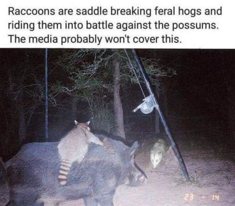 Not Going To Cover This