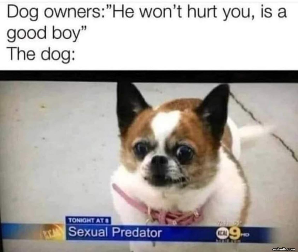 Not Going To Hurt You