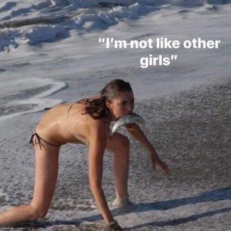 Not Like Other Girls