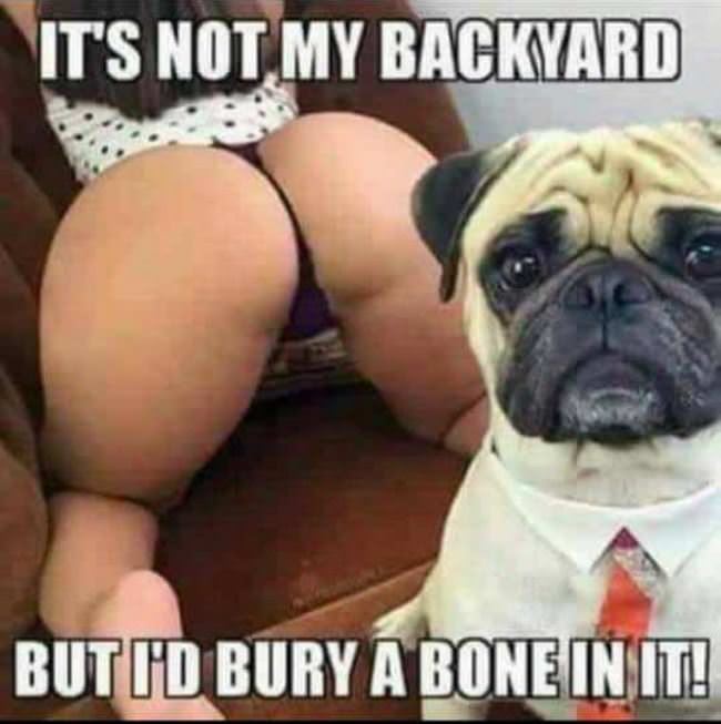 Not My Backyard