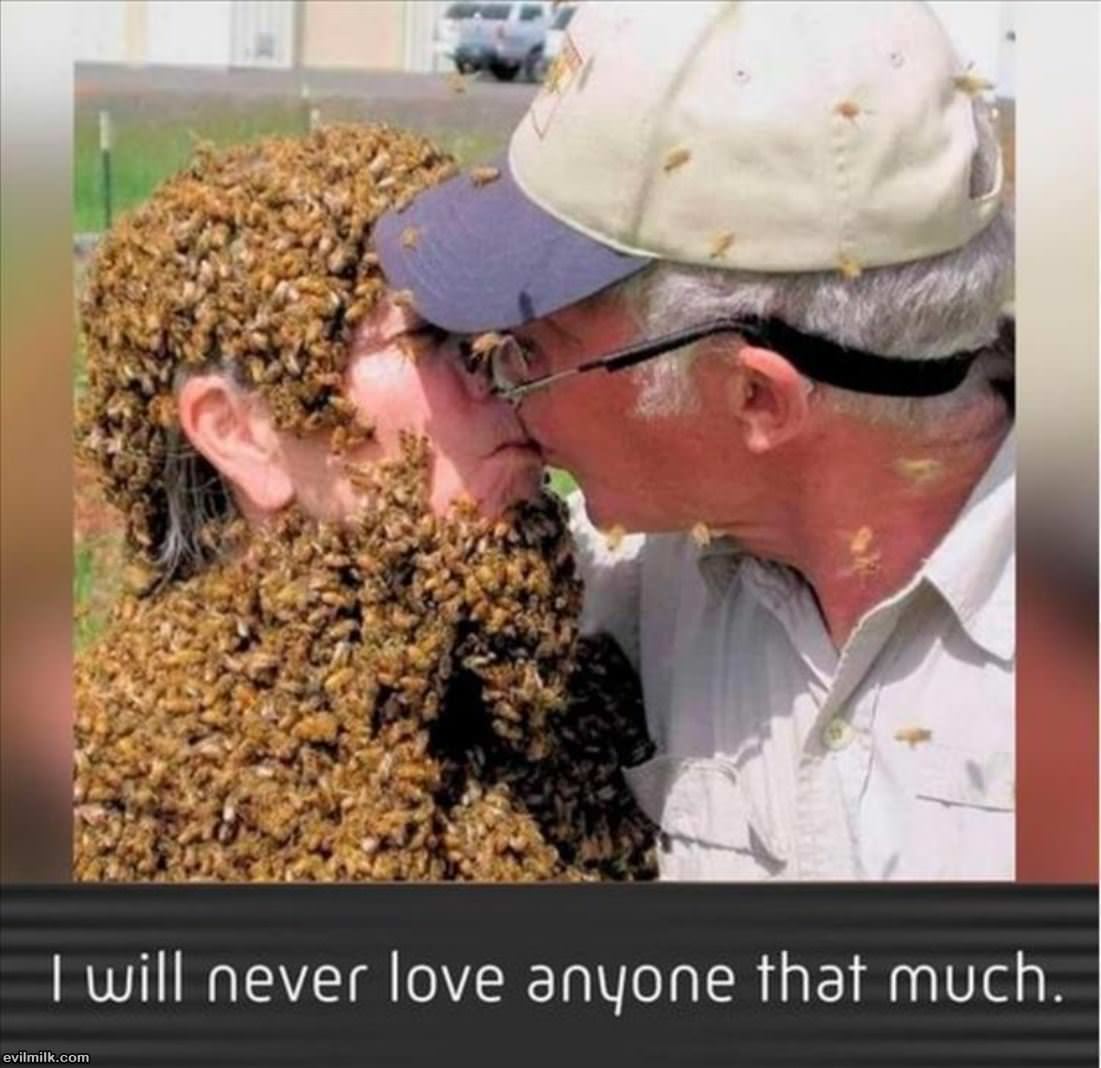 Not This Much