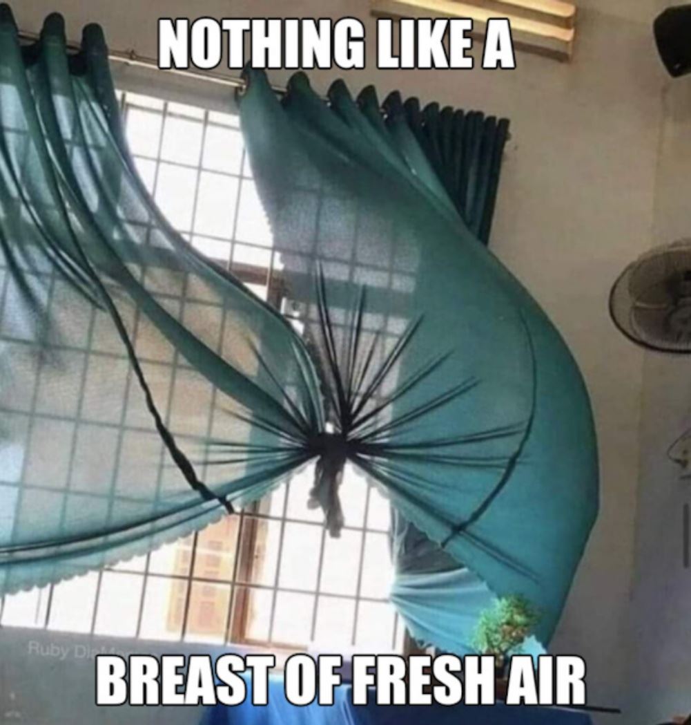 Nothing Like It