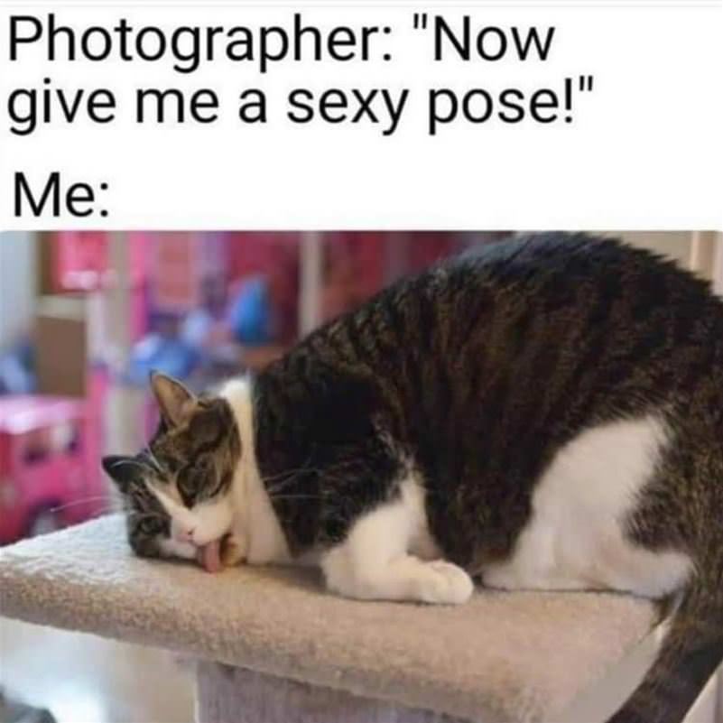Now Give Me A Pose
