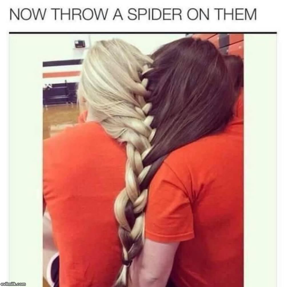 Now Throw A Spider