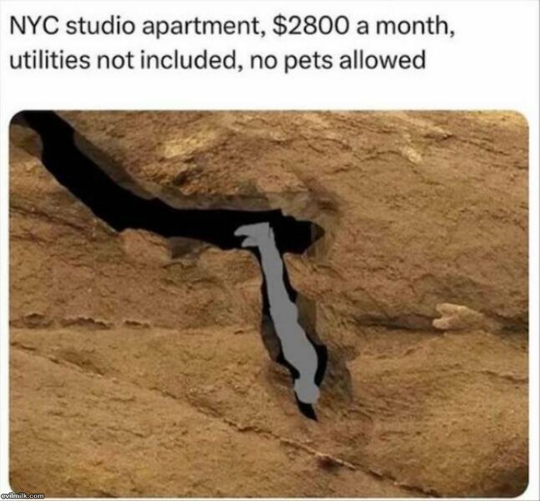 Nyc Studio Apartment