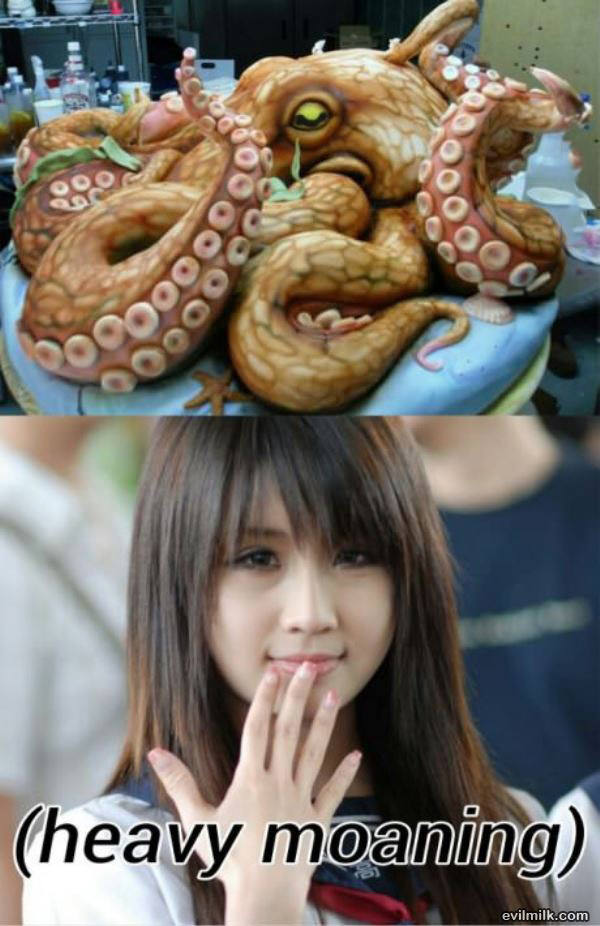 Octopus