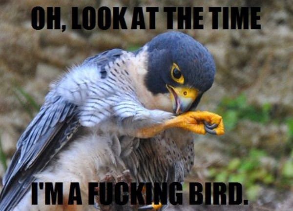 Oh Look At The Time