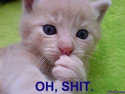 Oh No Kitty