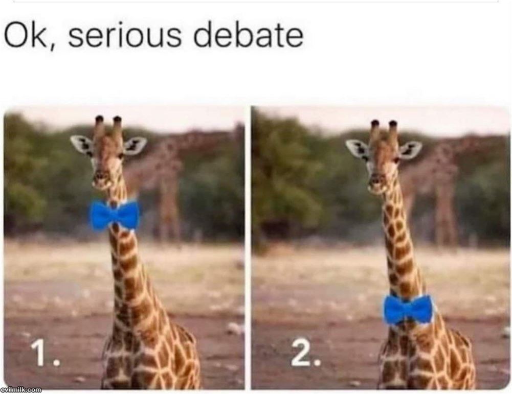 Ok Serious Debate