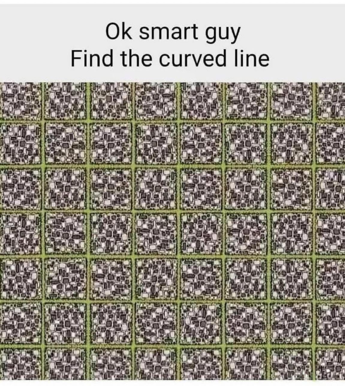 Ok Smart Guy