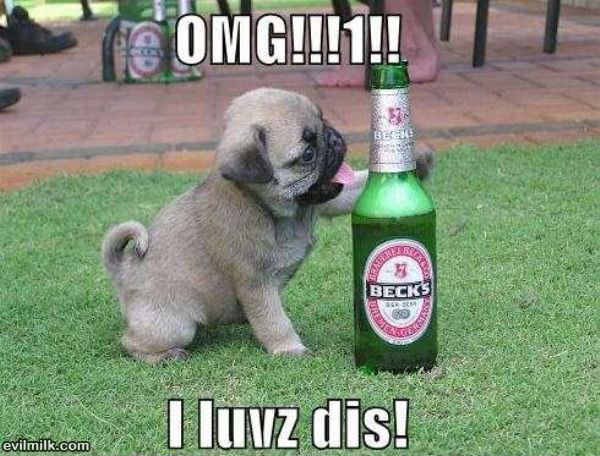 Omg I Loves Dis