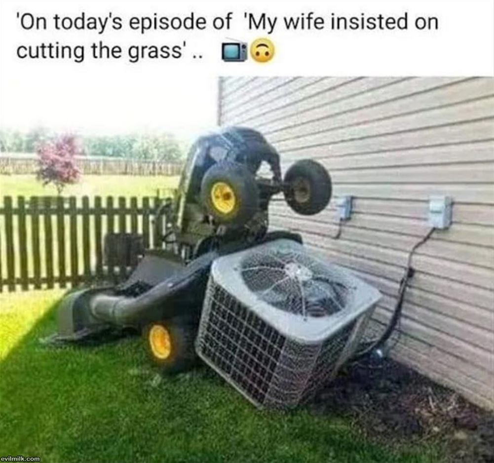 On Todays Episode