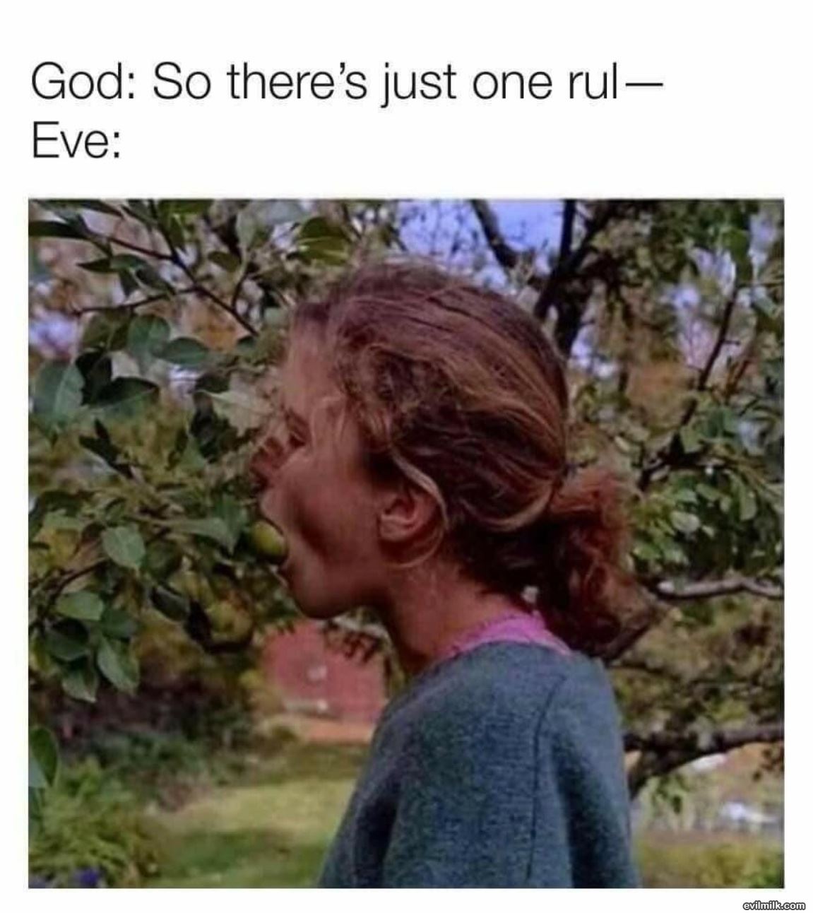 One Rule