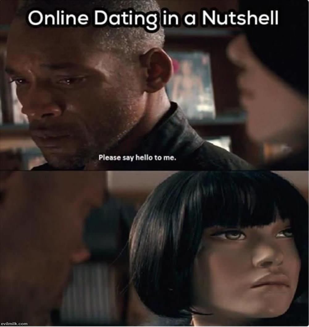 Online Dating In A Nutshell