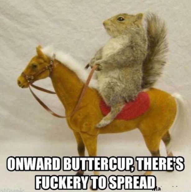 Onward Buttercup