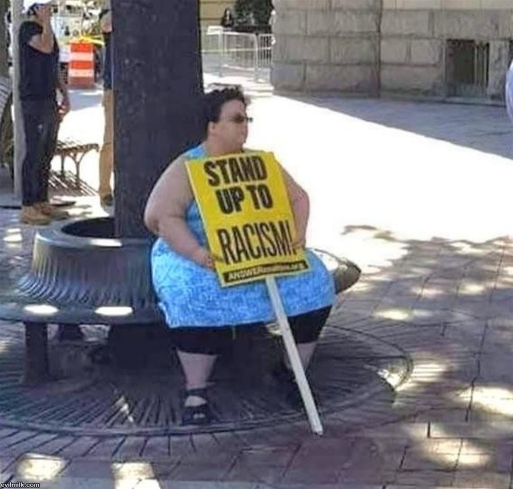 Or Sit