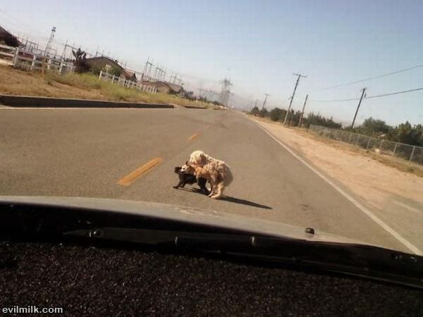 Out In The Road