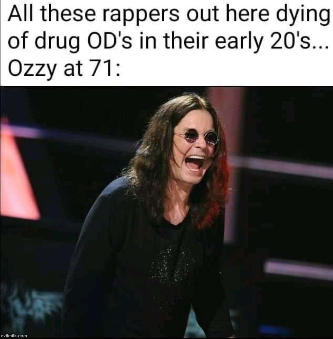 Ozzy.jpg