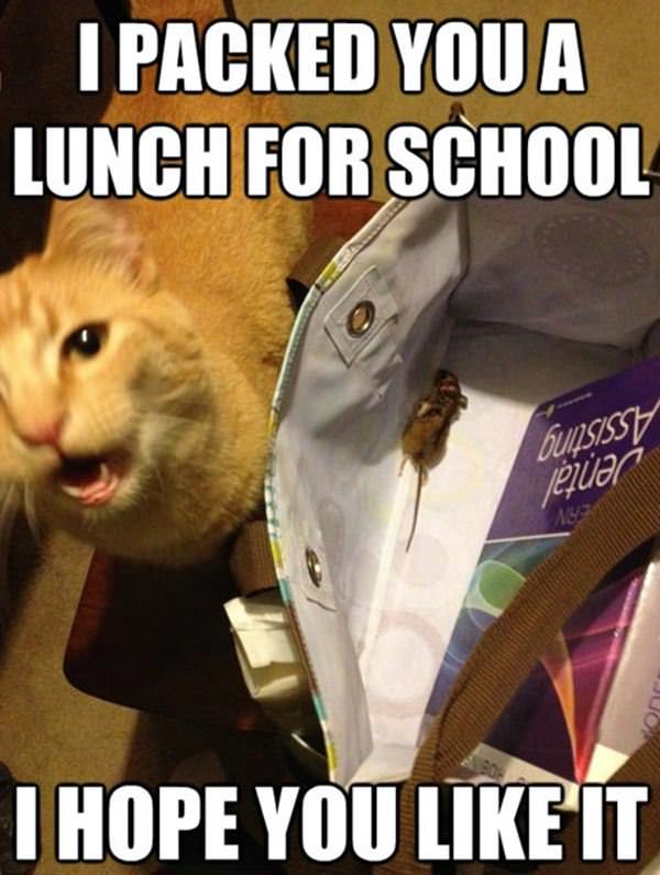 Packed You A Lunch