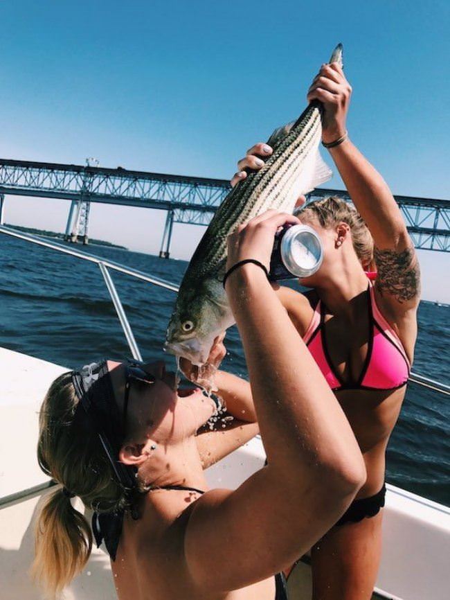 Party With The Fishes
