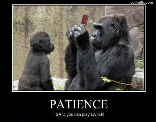 Patience