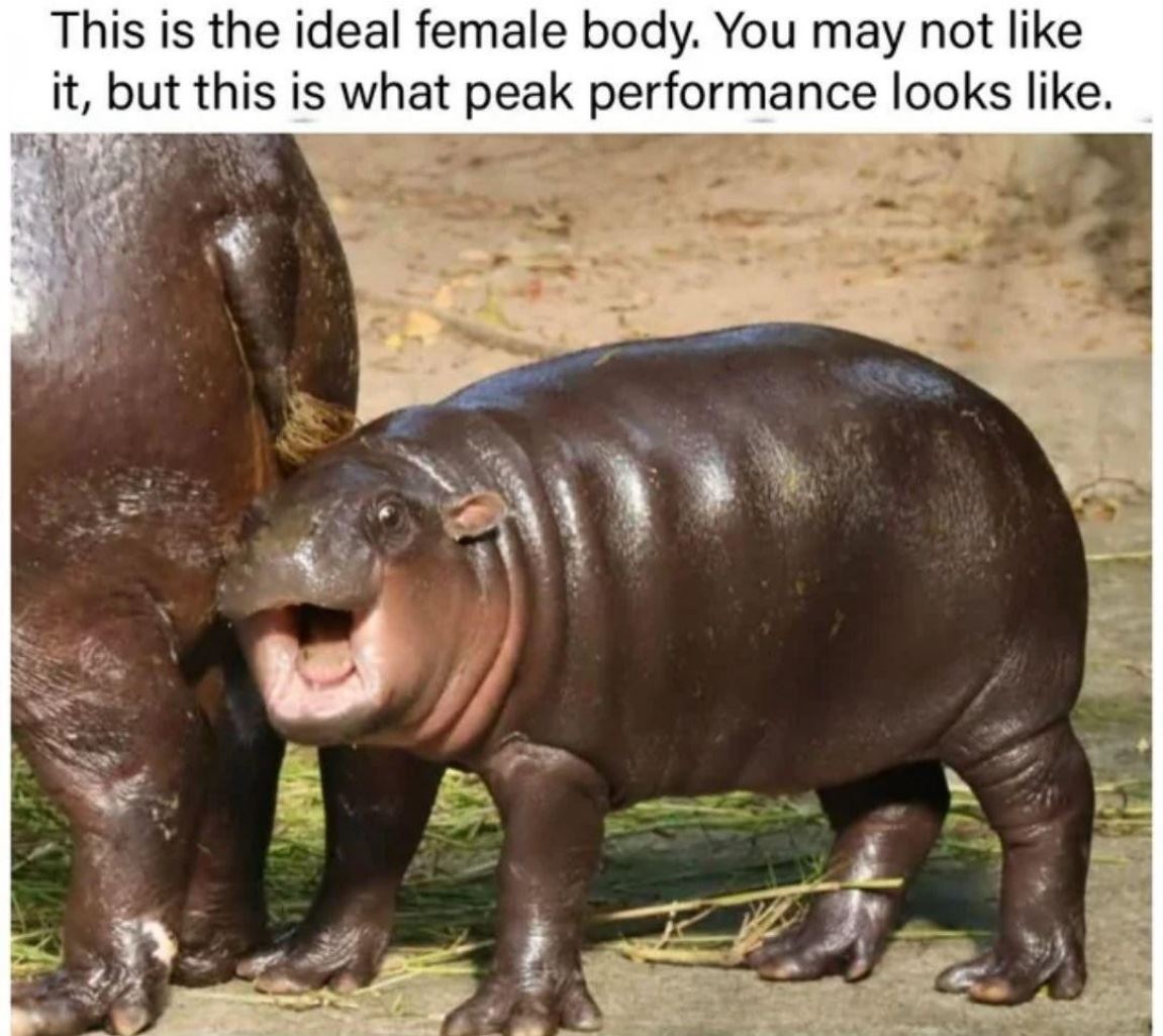 Peak Performance