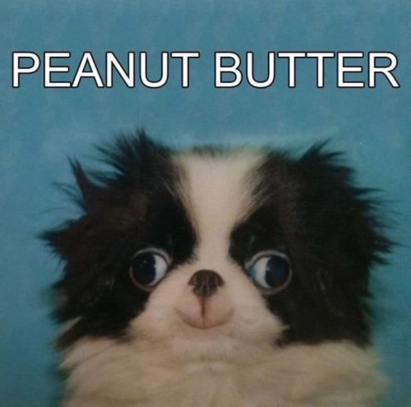 Peanut Butter