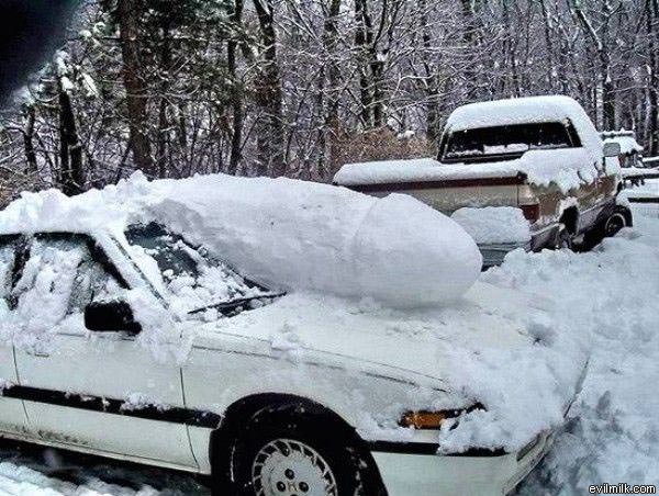 Penis Car