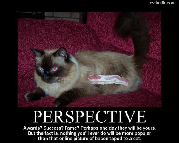 Perspective