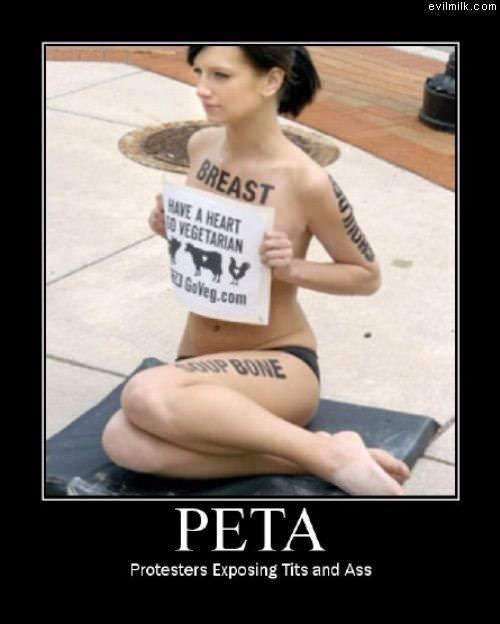 Peta