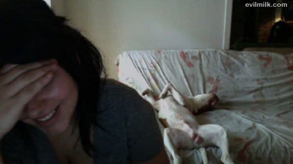 Photo Bomb Dog