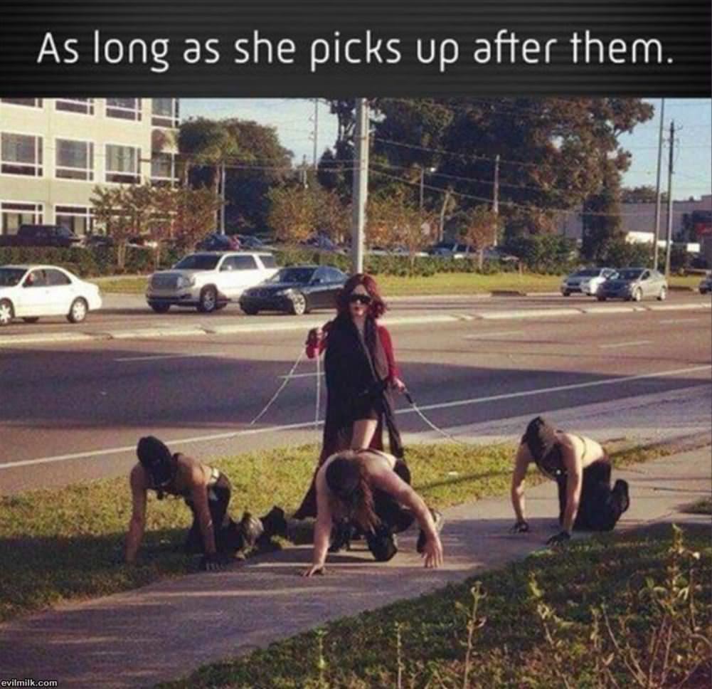 Pick Up After Them Please