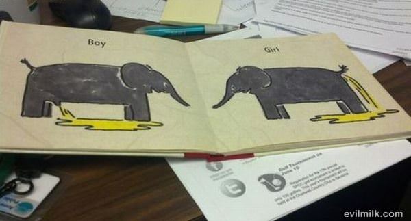 Picture Worth 1000 Words