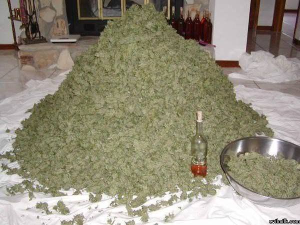 Pile Up
